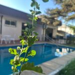 WhatsApp Image 2026-04-15 at 8.16.14 PM