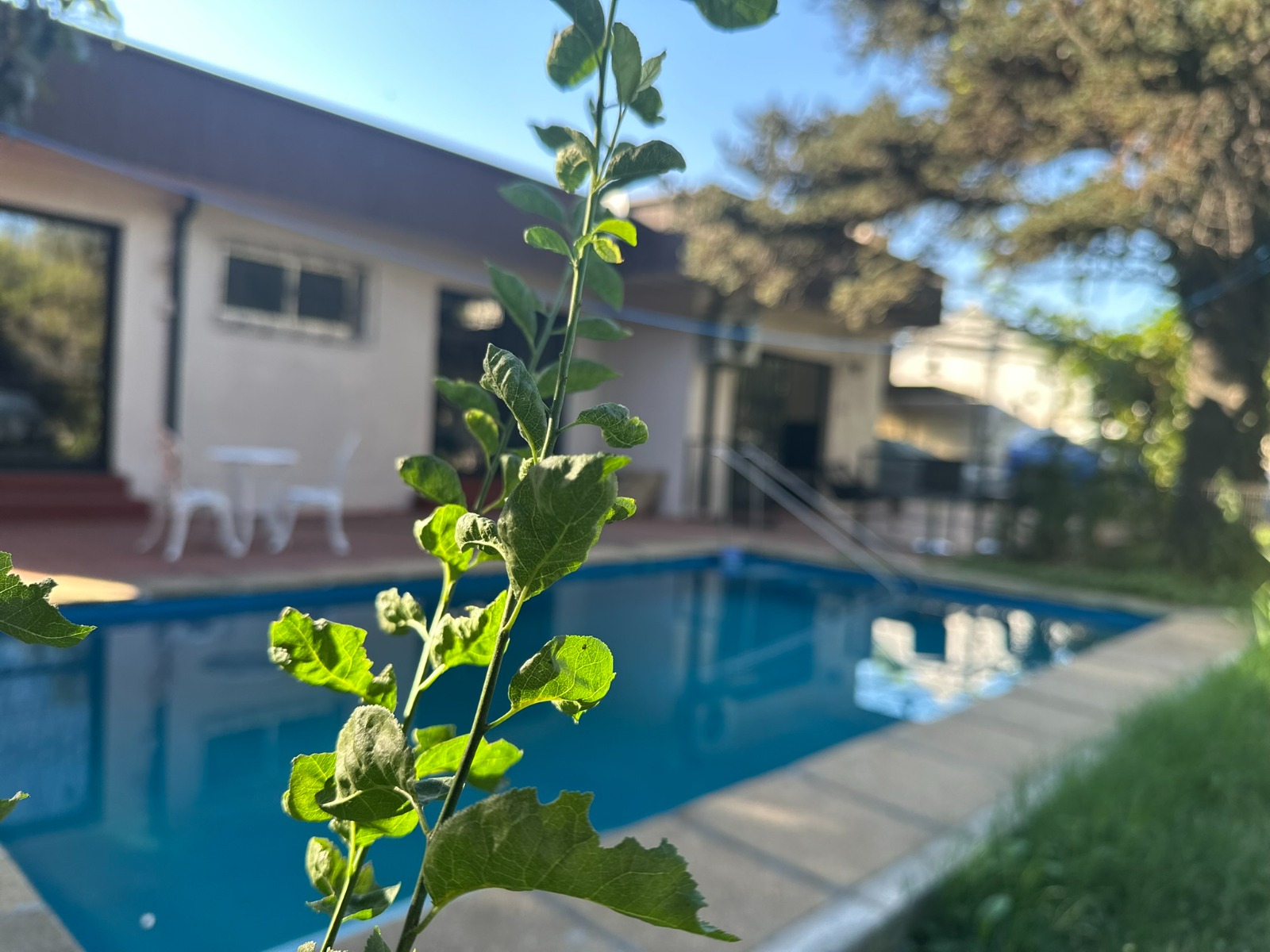 Centro de Rehabilitación